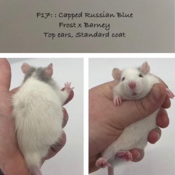 Meet Audrey - Picture 2 of 3